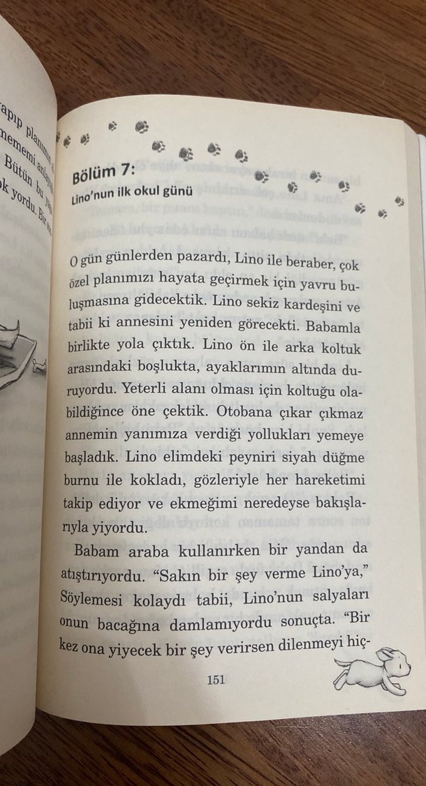 (Neredeyse) Mükemmel Bir Pati Mutluluğu - Görsel 3