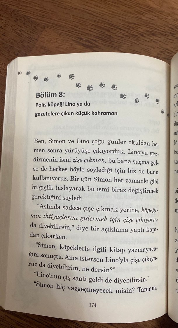 (Neredeyse) Mükemmel Bir Pati Mutluluğu - Görsel 5