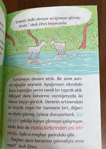 Beden Renk Keçileri Nasıl Kaçırdım? - 2. Sınıf Çocuk Kitabı
