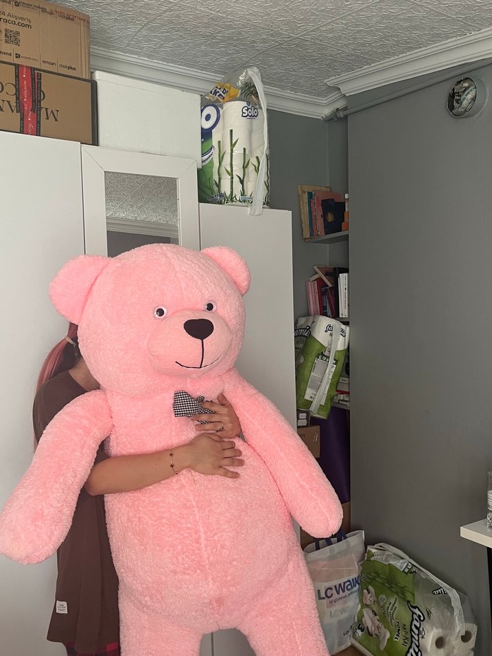 Pembe Peluş Ayı Oyuncak - Görsel 3