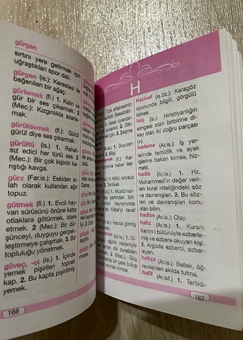 Renkli Türkçe Sözlük - Gönül Yayıncılık - Görsel 3