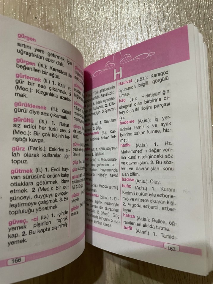 Renkli Türkçe Sözlük - Gönül Yayıncılık - Görsel 3