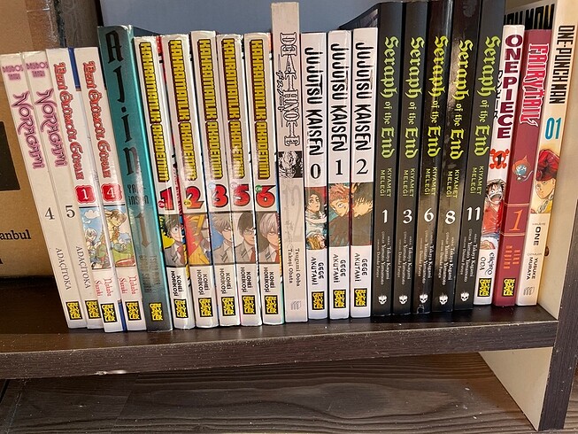 Manga kitaplar