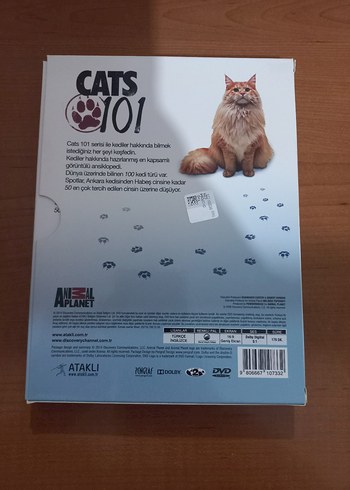 Animal Planet Cats 101 4 DVD Seti - Görsel 2