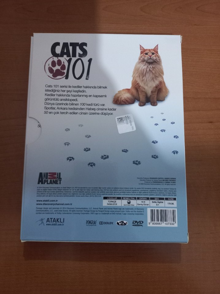 Animal Planet Cats 101 4 DVD Seti - Görsel 2