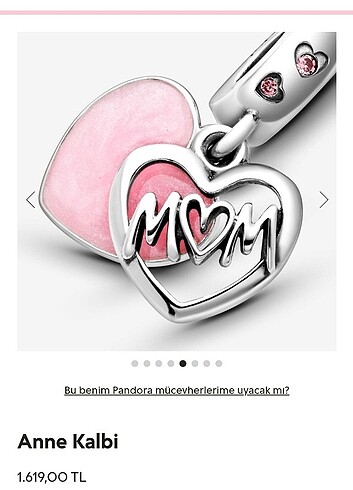 Pandora pandora charm