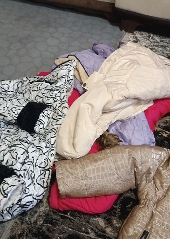 Kahverengi Yılan Desenli Kısa Kadın Mont - Görsel 4