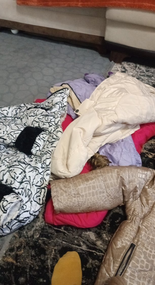 Kahverengi Yılan Desenli Kısa Kadın Mont - Görsel 4