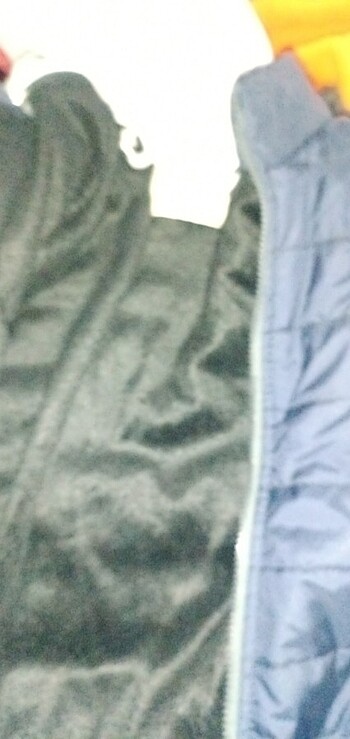  Yenisayılı gıyulmıstır - Görsel 11