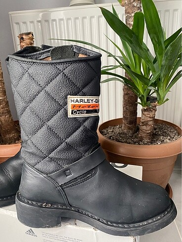 Harley Davidson Harley Davidson
