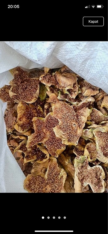 Kuru incir