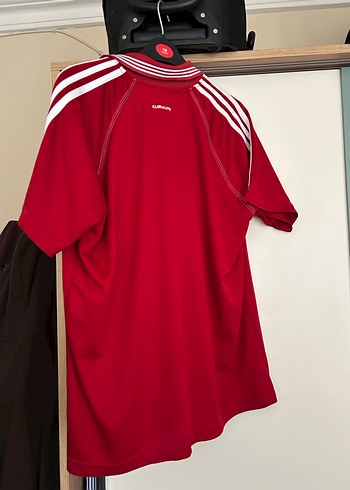 Kırmızı Erkek Polo Tişört - Regular Fit, Kısa Kollu - Görsel 16