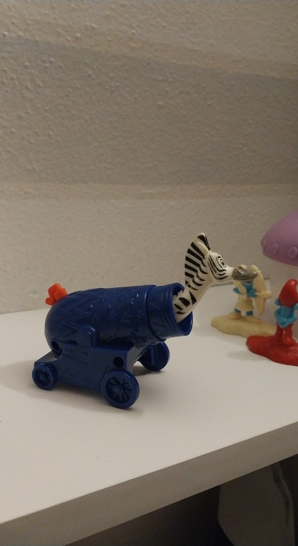 madagascar zebra - Görsel 2