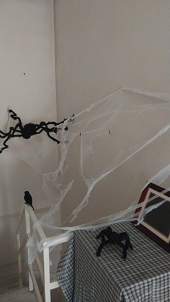 Örumcek ağı halloween parti
