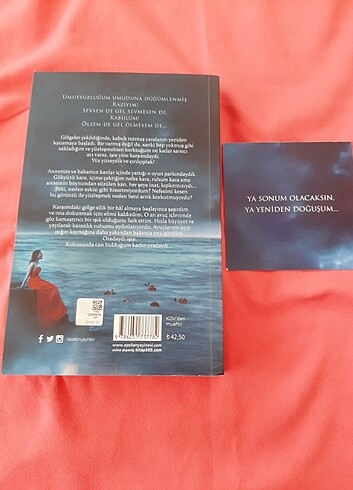  Beden Renk Kitap 