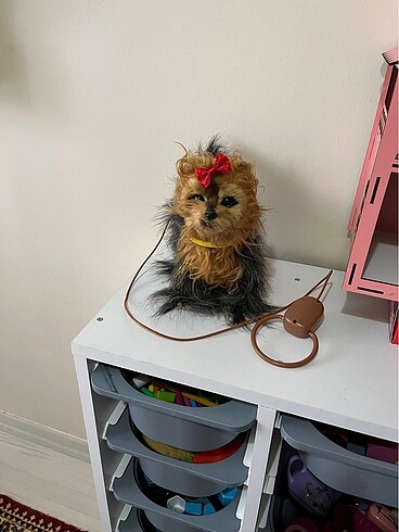 Oyuncak köpek pazarlık payımız makul fiyatta