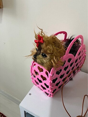 Oyuncak köpek pazarlık payımız makul fiyatta - Görsel 9