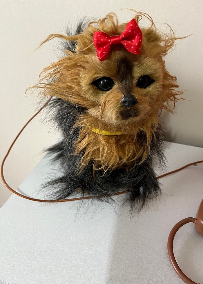 Oyuncak köpek pazarlık payımız makul fiyatta - Görsel 2