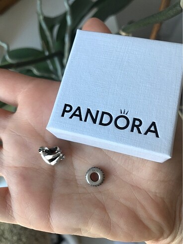 Pandora Charm