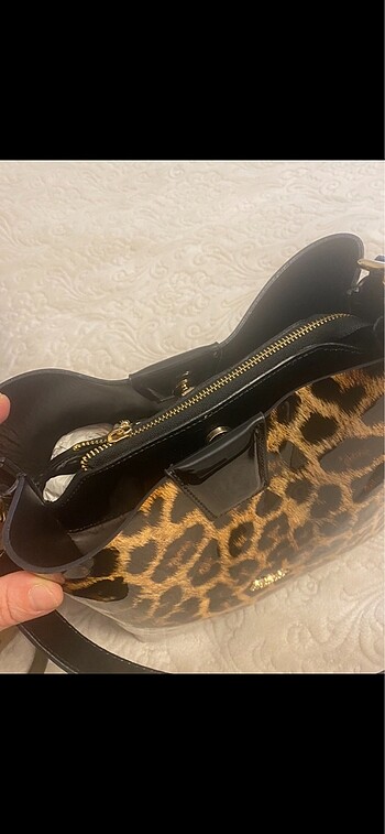 Leopar canta - Görsel 5