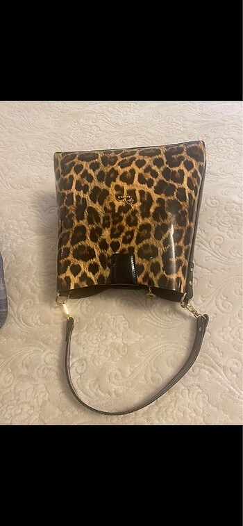 Leopar canta - Görsel 6