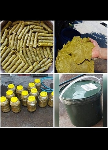 Diğer Manisa yaprağı 