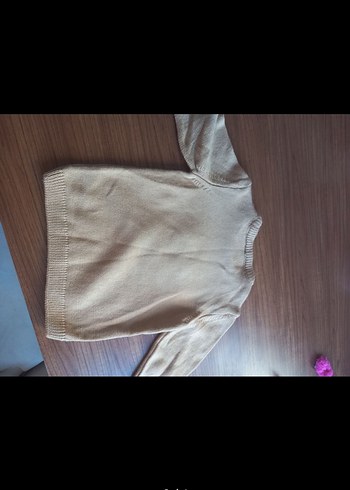 LC Waikiki Erkek Çocuk Aslan Desenli Kazak