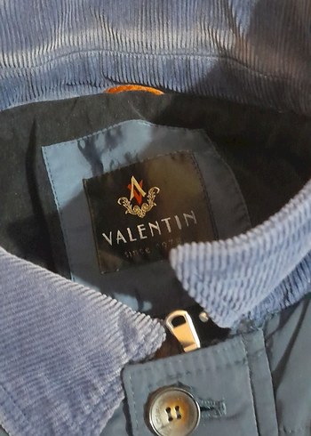 Diğer Düğmeli Lacivert Erkek kini Mont