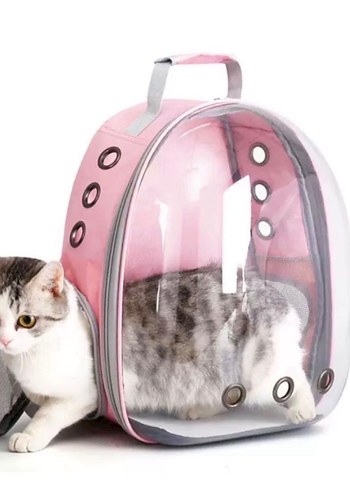 Pastel Pembe Şeffaf Kedi Taşıma Sırt Çantası - Görsel 4