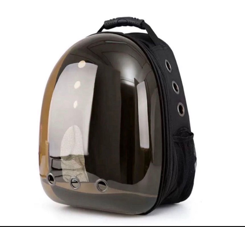 Pastel Pembe Şeffaf Kedi Taşıma Sırt Çantası - Görsel 5