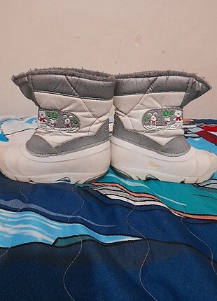 Kar botu