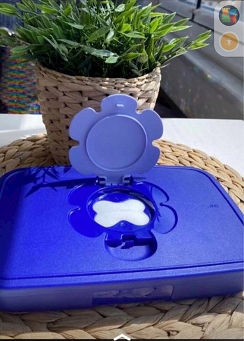 tupperware ıslak Mendil Kutusu son fiyattır