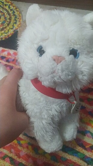 Oyuncak kedi