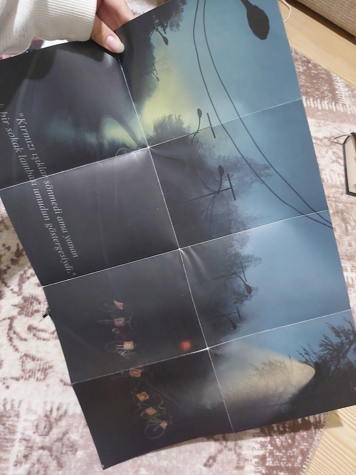 Sokak Nöbetçileri II - Aslı Arslan - Görsel 5