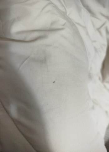 42 Beden ten rengi Renk Bej Kısa Fermuarlı Kadın Kışlık Ceket