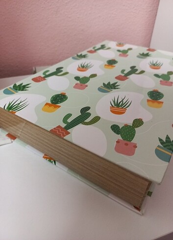 Kaktüs Kitap Kutu