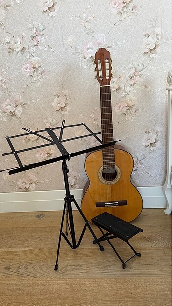Gitar ve Aksesuarları