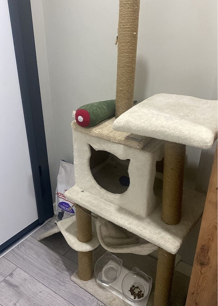 Büyük Boy Kedi Evi - Görsel 2