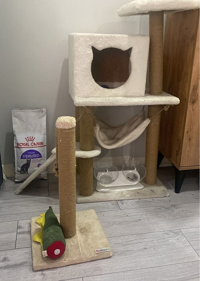 Büyük Boy Kedi Evi - Görsel 3