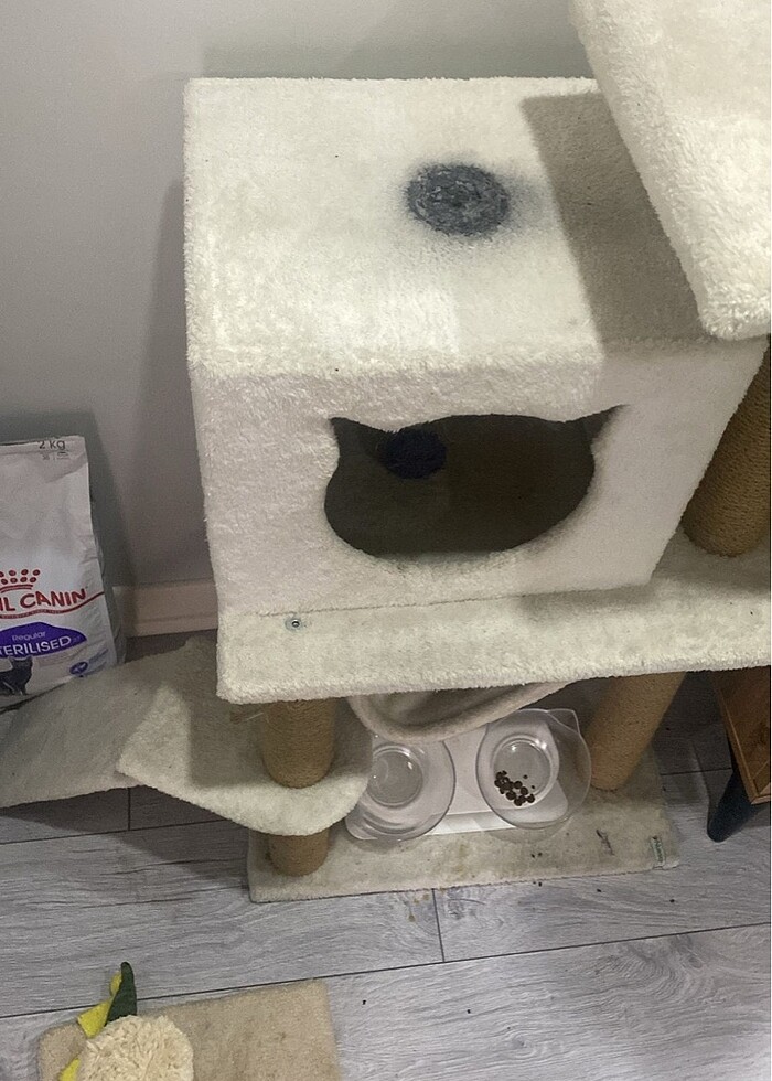 Büyük Boy Kedi Evi - Görsel 4