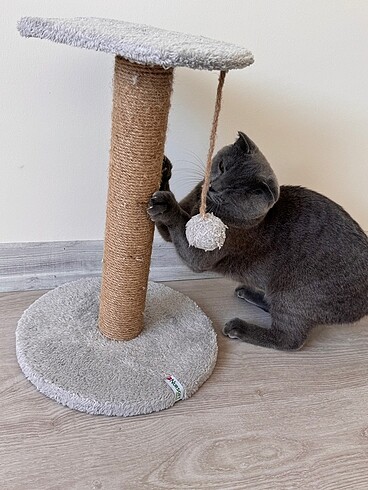 Kedi Oyuncağı Kedi Tırmalama Oyuncağı - Görsel 3