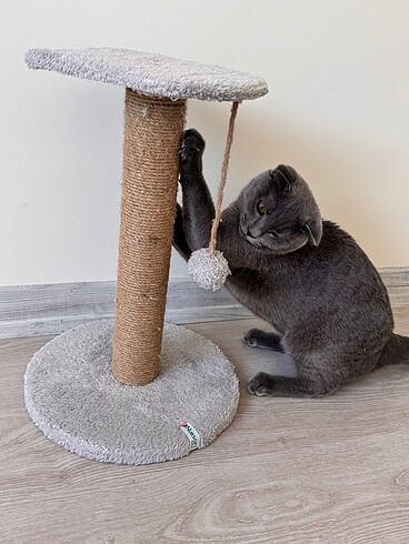 Kedi Oyuncağı Kedi Tırmalama Oyuncağı - Görsel 4