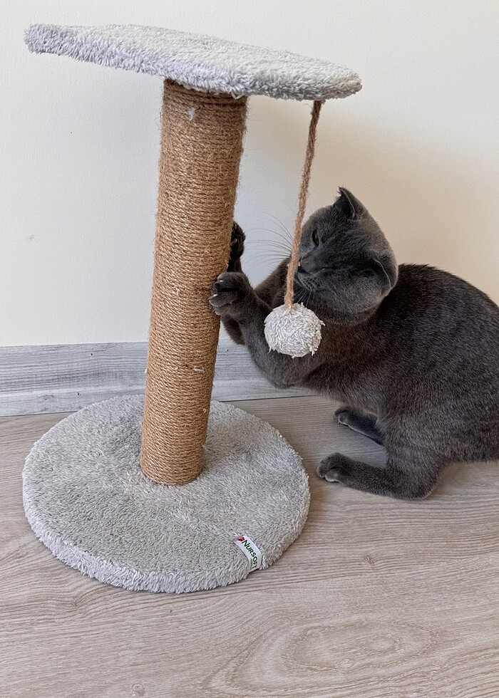 Kedi Oyuncağı Kedi Tırmalama Oyuncağı - Görsel 3