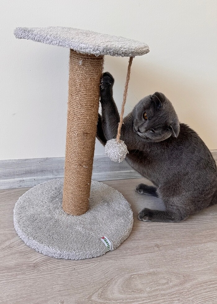 Kedi Oyuncağı Kedi Tırmalama Oyuncağı - Görsel 4