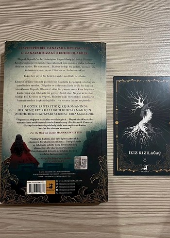Bir Karanlık Pencere - Rachel Gillig