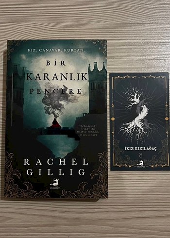 Bir Karanlık Pencere - Rachel Gillig