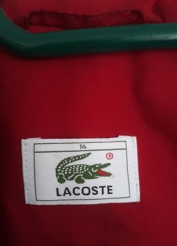 Lacoste Orjinaldir yağmurluk tarzi çeker