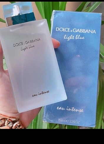 Dolce gabbana light blue