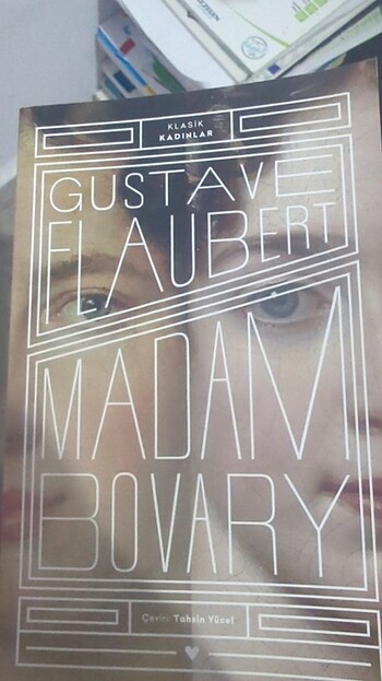 Gustave falaubert