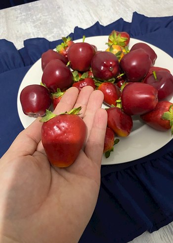 Tabak Üzerinde Renkli Meyveler - Görsel 4